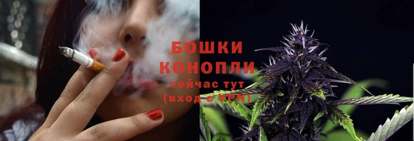 спиды Арсеньев