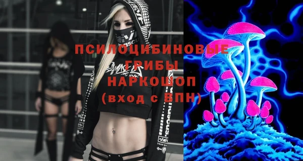 спиды Арсеньев