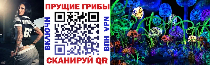 Псилоцибиновые грибы Magic Shrooms  Пошехонье 